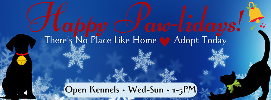 Fall In Love with a Shelter Pet - Kennels now open Wednesday - Sunday, 1:00 - 5:00pm