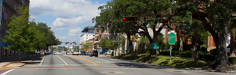 Street Trees